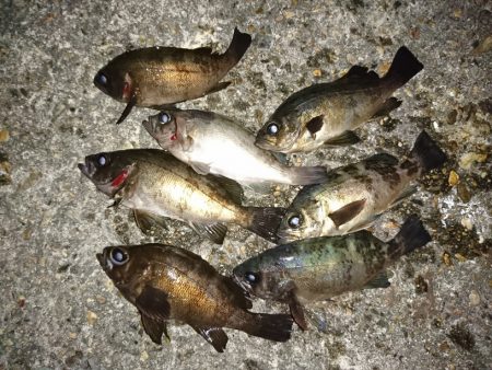 爆風のメバリング